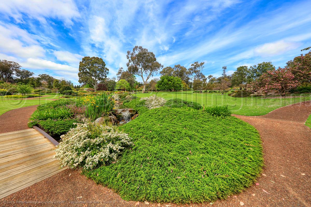 Peter Bellingham Photography Japanese Garden - Cowra